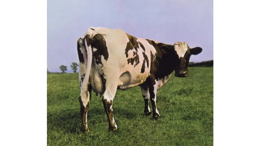 cow atom heart mother story