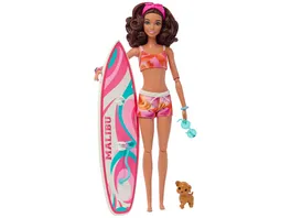 Barbie Surf Puppe Accy