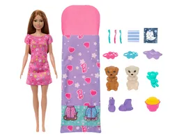 Barbie Puppe und Zubehoer