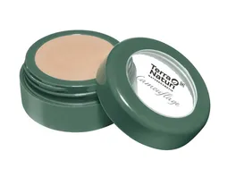 Terra Naturi Camouflage Concealer