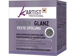 ARTIST Feste Spuelung Silber Glanz