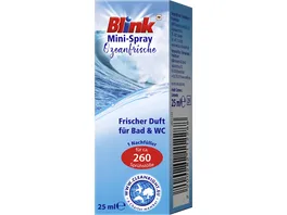 Blink Mini Spray Ozeanfrische