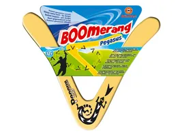 Guenther Flugmodelle Pegasus Boomerang