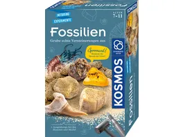 KOSMOS Fossilien