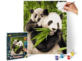 Schipper Malen nach Zahlen Motiv Gruppe Klassiker Tiere Pandabaeren