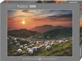 Heye Sheep and Volcanoes Edition Alexander von Humboldt 1000 Teile Puzzle