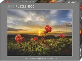 Heye Cloudberries Edition Alexander von Humboldt 1000 Teile Puzzle