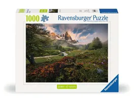 Ravensburger Puzzle 12000074 Malerische Stimmung im Vallee 1000 Teile