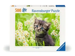 Ravensburger Puzzle 12000367 Kaetzchen in der Wiese 500 Teile Puzzle fuer Erwachsene und Kinder ab 12 Jahren