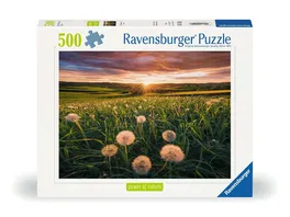 Ravensburger Puzzle 12000592 Pusteblumen im Sonnenuntergang Nature Edition 500 Teile