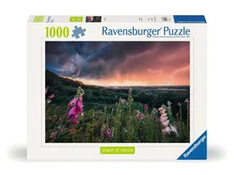 Ravensburger Puzzle 12000793 Ein Sturm zieht auf 1000 Teile Puzzle fuer Erwachsene ab 14 Jahren