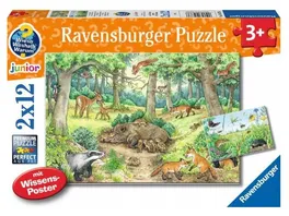 Ravensburger Puzzle Wieso Weshalb Warum Tiere im Wald und auf der Wiese 12 Teile