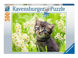 Ravensburger Puzzle Kaetzchen in der Wiese 500 Teile