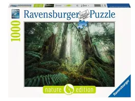Ravensburger Puzzle Faszinierender Wald 1000 Teile