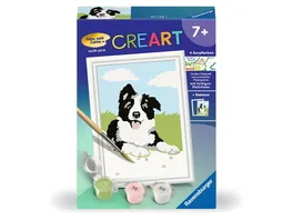 Ravensburger CreArt 23759 Border Collie Welpe Malen nach Zahlen Hund fuer Kinder ab 7 Jahre