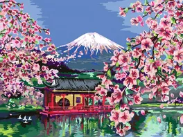 Ravensburger Beschaeftigung CreArt Malen nach Zahlen 23914 Japanese Cherry Blossom ab 14 Jahren Malen auf Leinwand