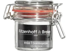 Ritzenhoff Breker Drahtbuegelglas Mia 0 12l
