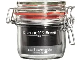 Ritzenhoff Breker Drahtbuegelglas Mia 0 25l