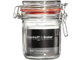 Ritzenhoff Breker Drahtbuegelglas Mia 0 53l