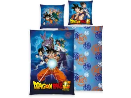 Dragonball Super Bettwaesche 70x90cm 140x200cm