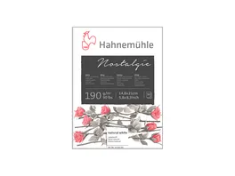 Hahnemuehle Anniversary Edition Skizze 140 g m DIN A4 50 Blatt