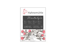 Hahnemuehle Acrylmalblock 450 g m 30x40cm 10 Blatt