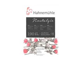 Hahnemuehle Acrylmalblock 450 g m 30x40cm 10 Blatt