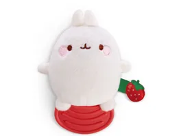 NICI 49477 Beissring MOLANG