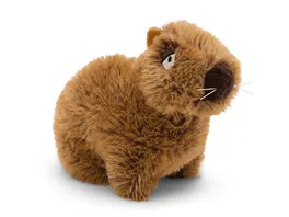 NICI Kuscheltier Capybara Capy Barbara 17cm GREEN