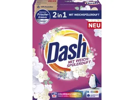 Dash 2in1 Colorwaschmittel Pulver