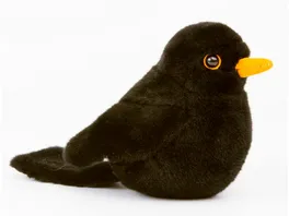 Koesen Amsel Tuerilue