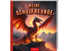 Meine Schulfreunde Drachen