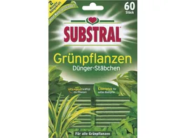 Substral Duenger Staebchen Gruenpflanzen