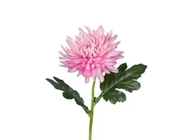 Chrysantheme 45cm