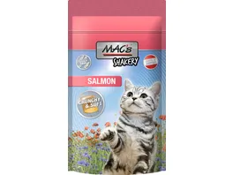 MAC s CAT Katzensnack Shakery Salmon