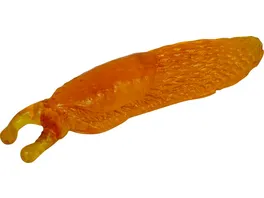 Die Spiegelburg Glibber Schnecke Wild Cool orange