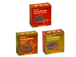 Die Spiegelburg Fossil zum Selbermachen Dino Skelett T Rex World