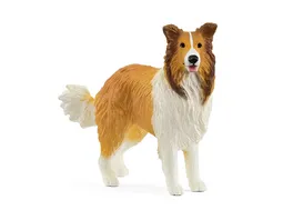 Schleich 13998 Farm World Collie