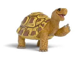 Schleich 14910 Die Schule der magischen Tiere Henrietta die Schildkroete