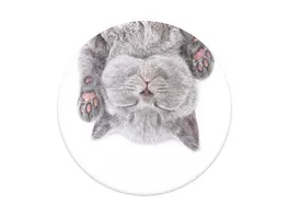 PopGrip ausziehbarer Handy Griff Handyhalter Cat Nap