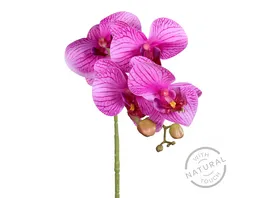 DPI Orchidee purple 66cm