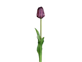 Tulpe 48cm