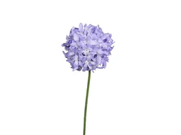 Allium 47cm