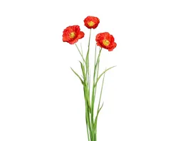 Mohn mit Gras 68cm