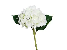 Hortensie Real Touch 45cm