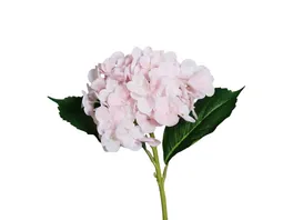 Hortensie Real Touch 45cm