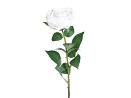 Rose Natural Touch 63cm