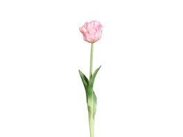 Tulpe Real Touch Pur 45cm