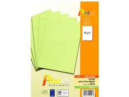 PrintLINE Universalpapier A4 gruen BASIC 80g m
