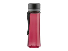 PROFINO Trinkflasche Infuze 0 6l